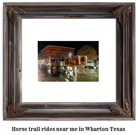 horse trail rides near me in Wharton, Texas